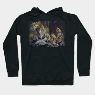 Big Cats Hoodie